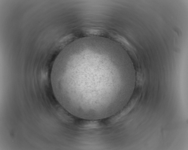 X0000113900377200910081834