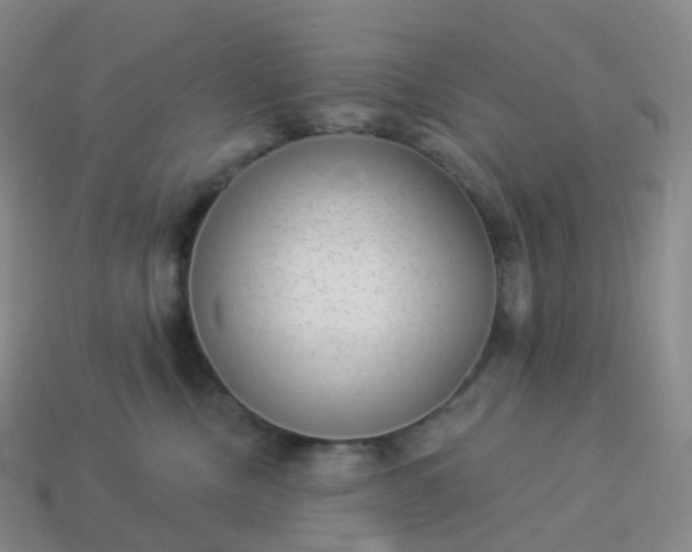 X0000113900378200910081834