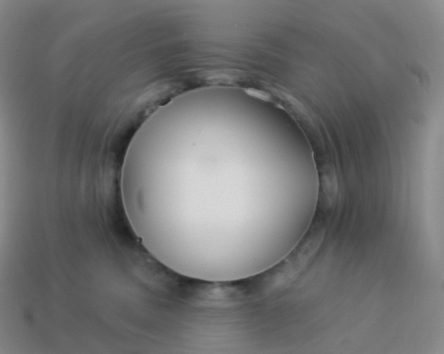 X0000113900379200910081834