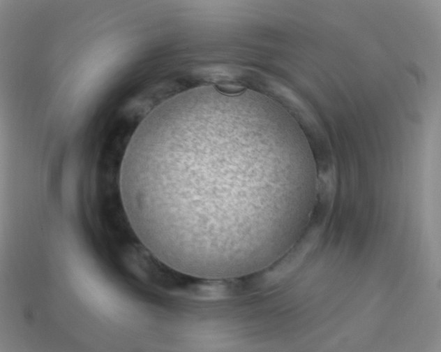 X0000113900381200910081834