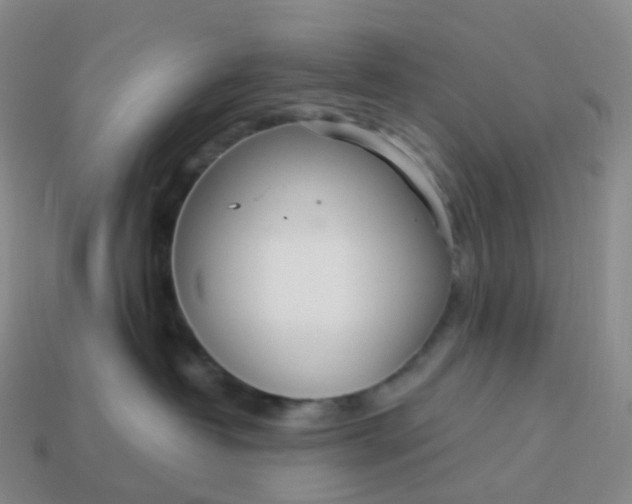 X0000113900382200910081834