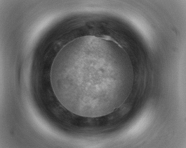 X0000113900383200910081834