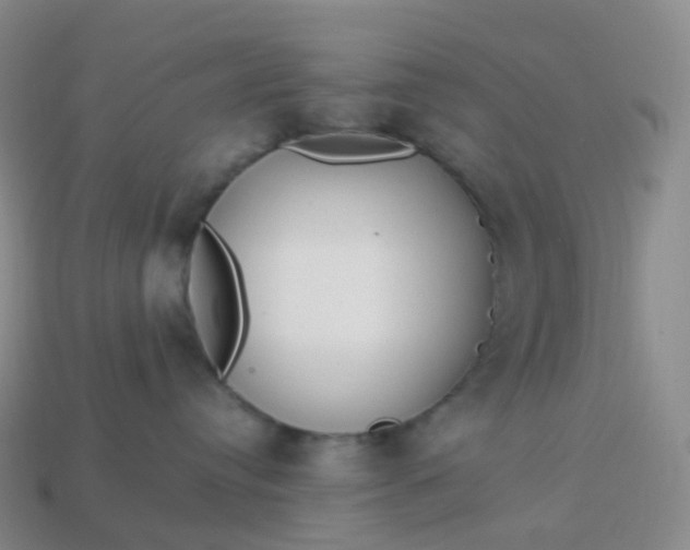 X0000113900384200910081834