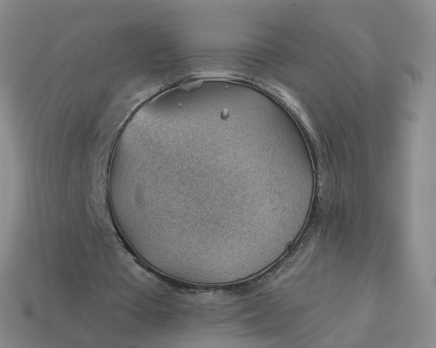 X0000113900385200910081833