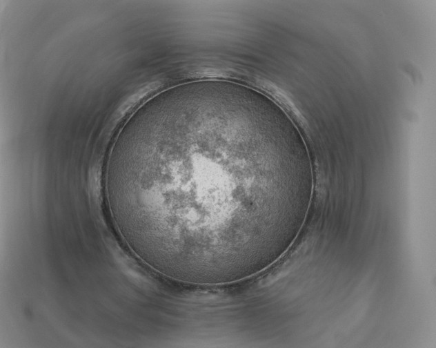 X0000113900386200910081833