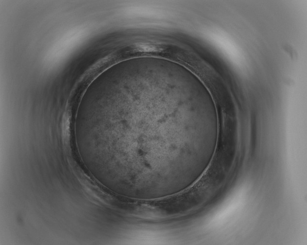 X0000113900387200910081833