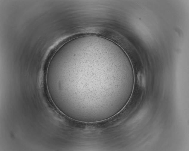 X0000113900388200910081833