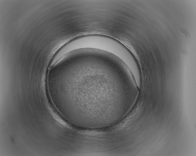 X0000113900389200910081833