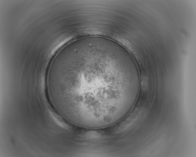 X0000113900390200910081833