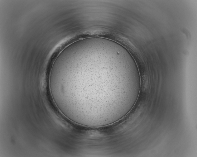 X0000113900392200910081833