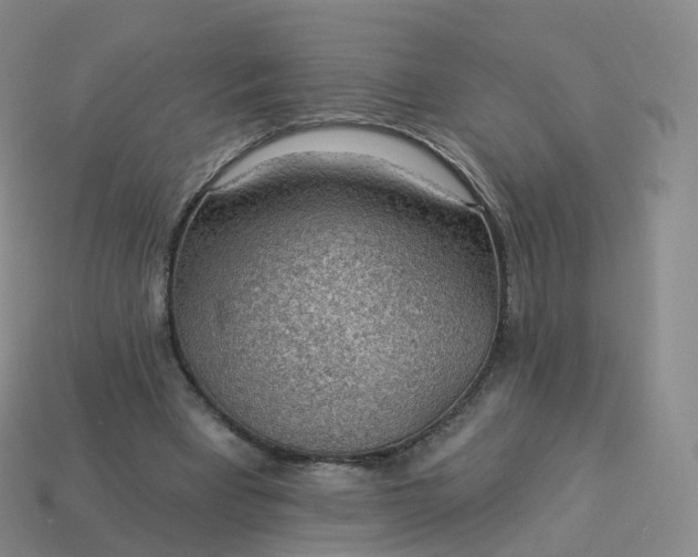 X0000113900393200910081833