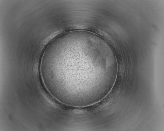 X0000113900394200910081833