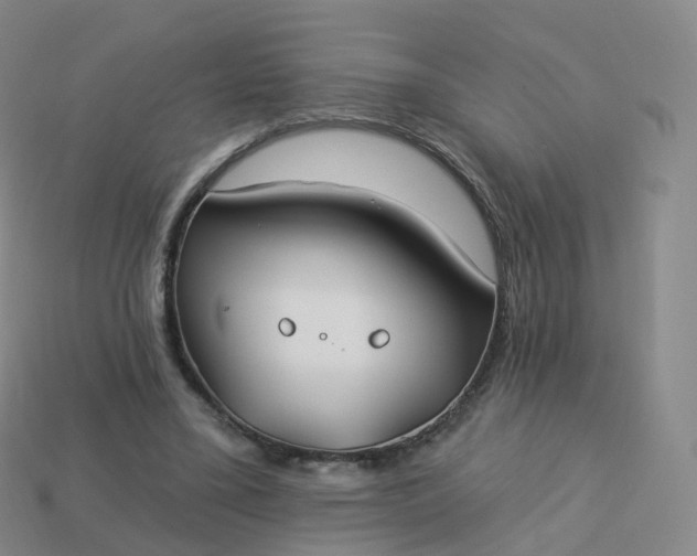 X0000113900395200910081833