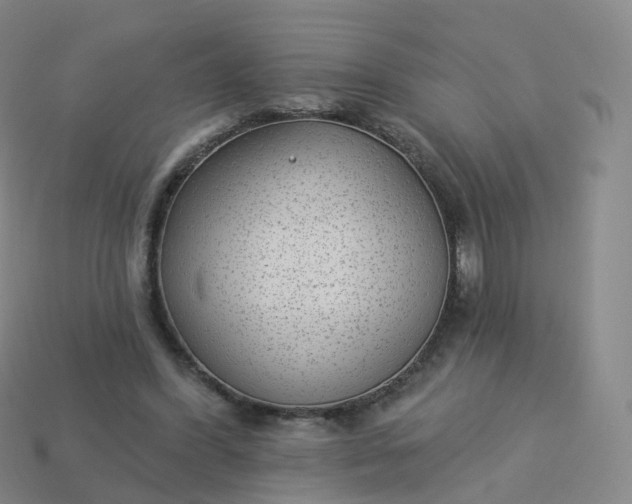 X0000113900396200910081833