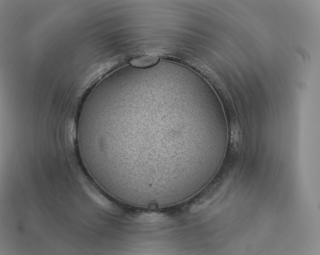 X0000113900397200910081833