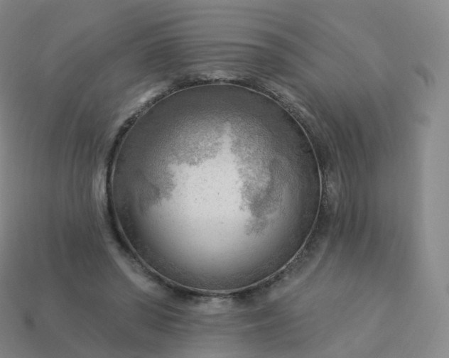 X0000113900398200910081833