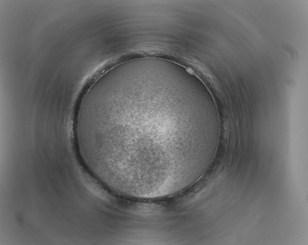 X0000113900399200910081833