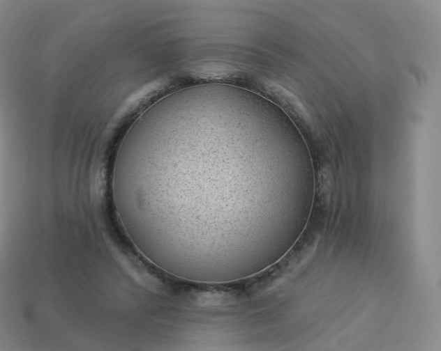 X0000113900400200910081833