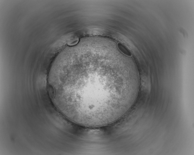 X0000113900401200910081833