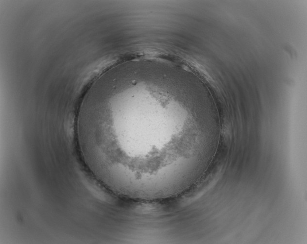 X0000113900402200910081833