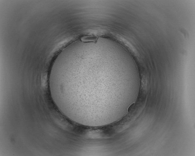 X0000113900403200910081833