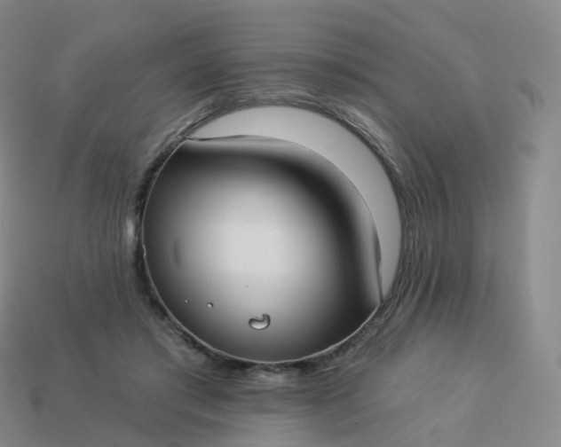 X0000113900405200910081833