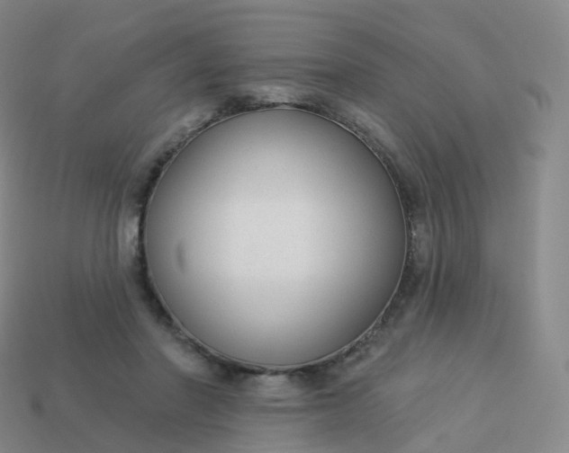 X0000113900406200910081833