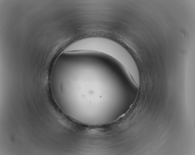 X0000113900407200910081833