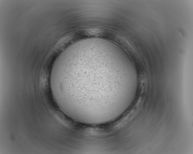 X0000113900408200910081833