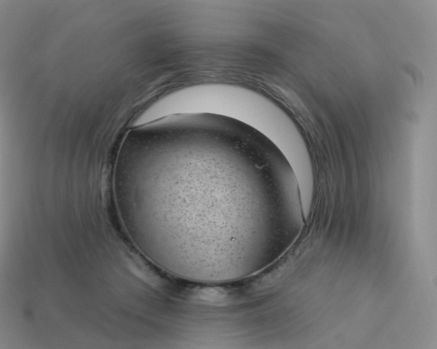 X0000113900409200910081833