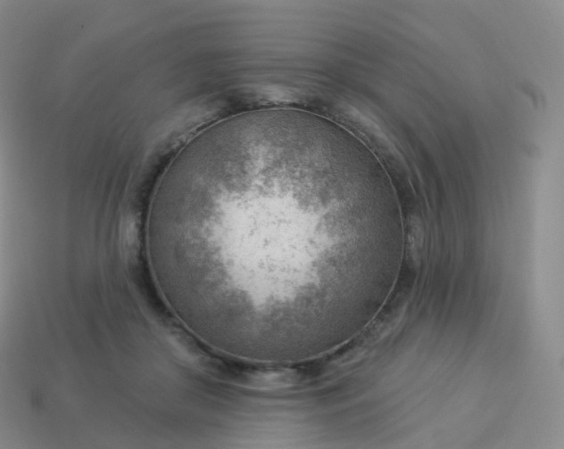 X0000113900410200910081833