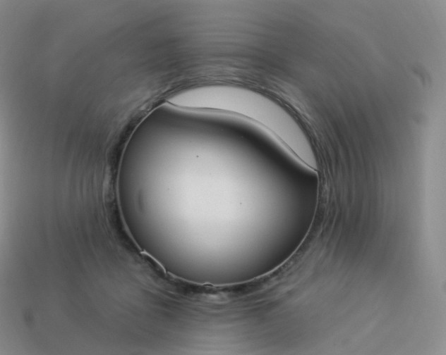 X0000113900411200910081833