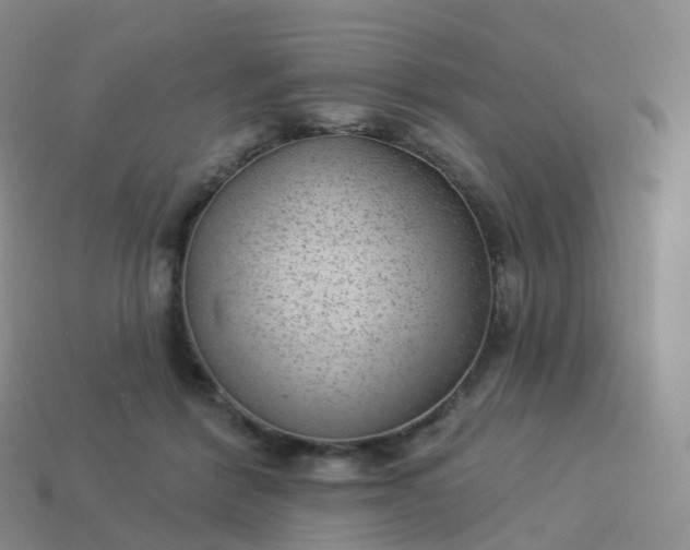 X0000113900412200910081833