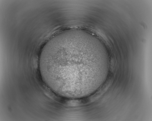 X0000113900413200910081833