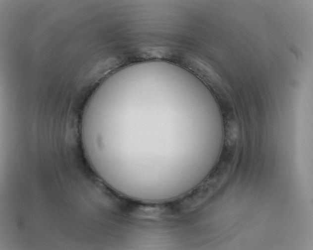 X0000113900414200910081833