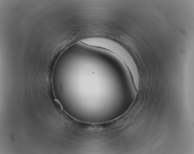 X0000113900415200910081833