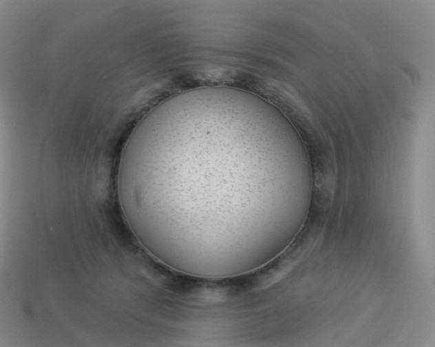 X0000113900416200910081833