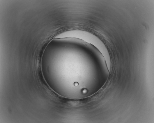 X0000113900417200910081833