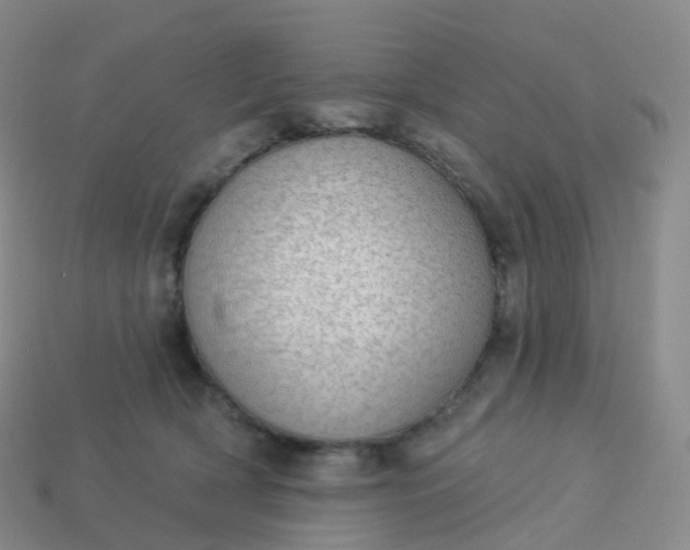 X0000113900418200910081833