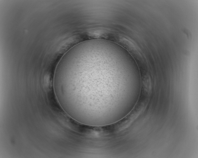 X0000113900420200910081833