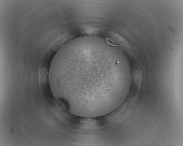 X0000113900421200910081833