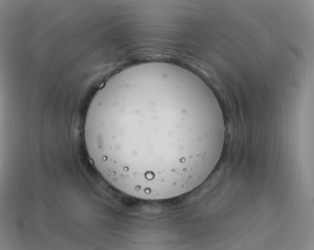 X0000113900423200910081833