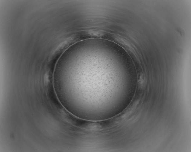 X0000113900424200910081833