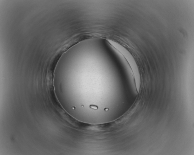 X0000113900425200910081833