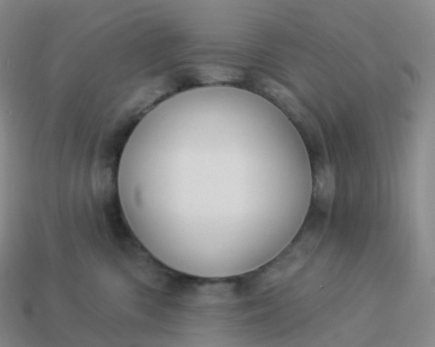 X0000113900426200910081833