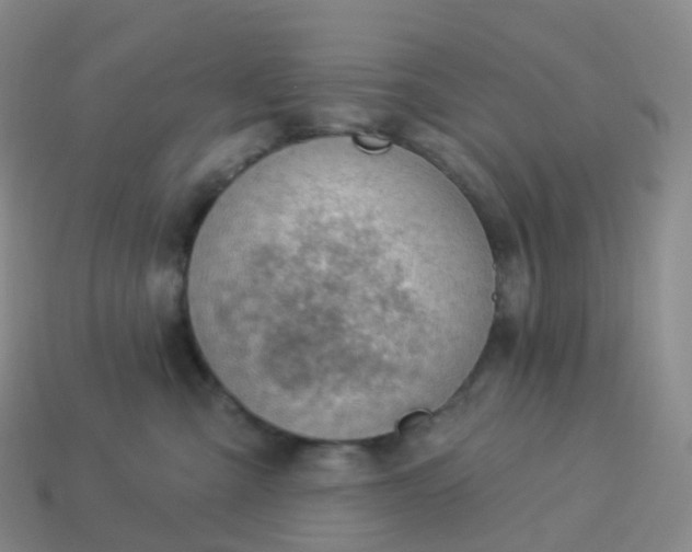 X0000113900427200910081833