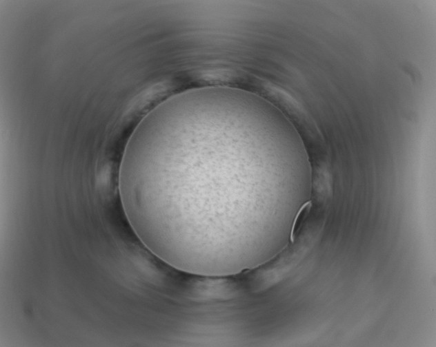 X0000113900428200910081833