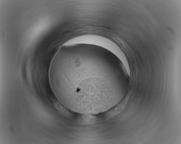 X0000113900429200910081833