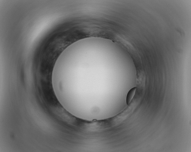 X0000113900430200910081833