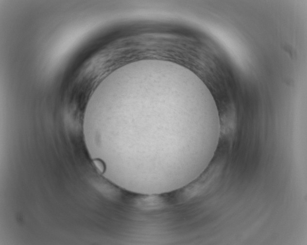 X0000113900431200910081833